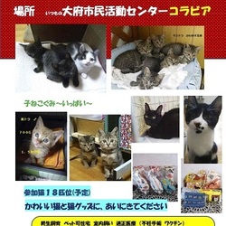 にゃんこが寄ってくる秋の夜長、幸せになってくれよ～イン大府