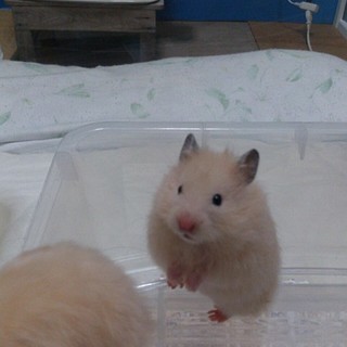 有り難う御座いました(^^)