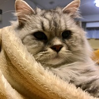 そると