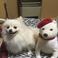 アーリー