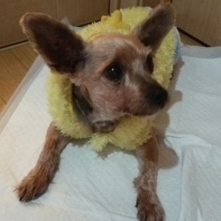 いつも側に！優しいおじいちゃん。