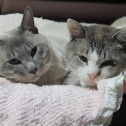 「らぶらぶ」サムネイル2