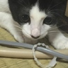  さん