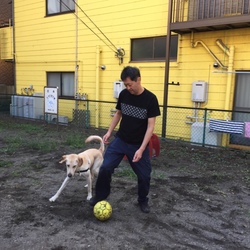 僕の休日〜コルトの場合〜