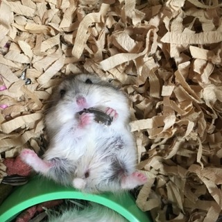 投稿か不慣れで返信等遅れるかもしれません