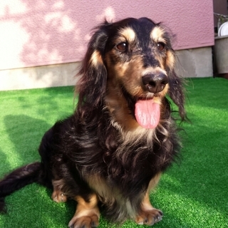 決定☆『リド』愛嬌◎ドライブ大好き