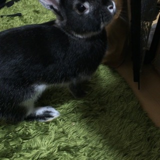 ありがとうございました