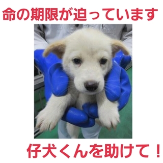 問い合わせあり!!募集一時ストップ!!!