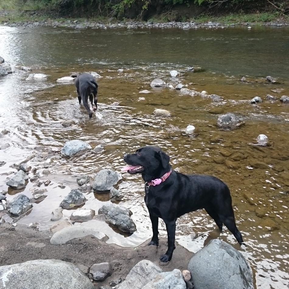 シンディのカバー写真