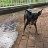 水が怖いらしい