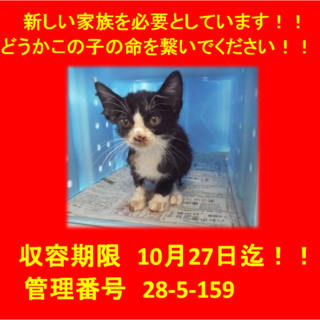 里親決定しました☆(*^-^*)