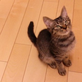 とっても元気な「かぶちゃん」