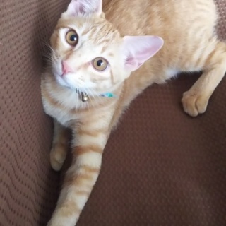 甘えん坊です！