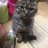 じーっ