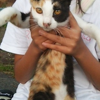 人見知り度ゼロ！