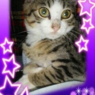 ちょっぴり慎重派の女の子です