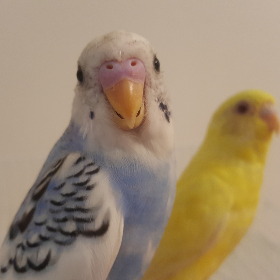 ジャックのカバー写真