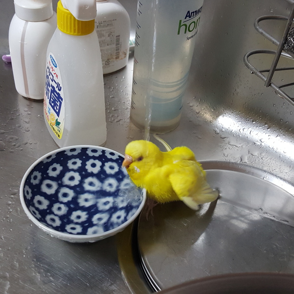 クロエのカバー写真