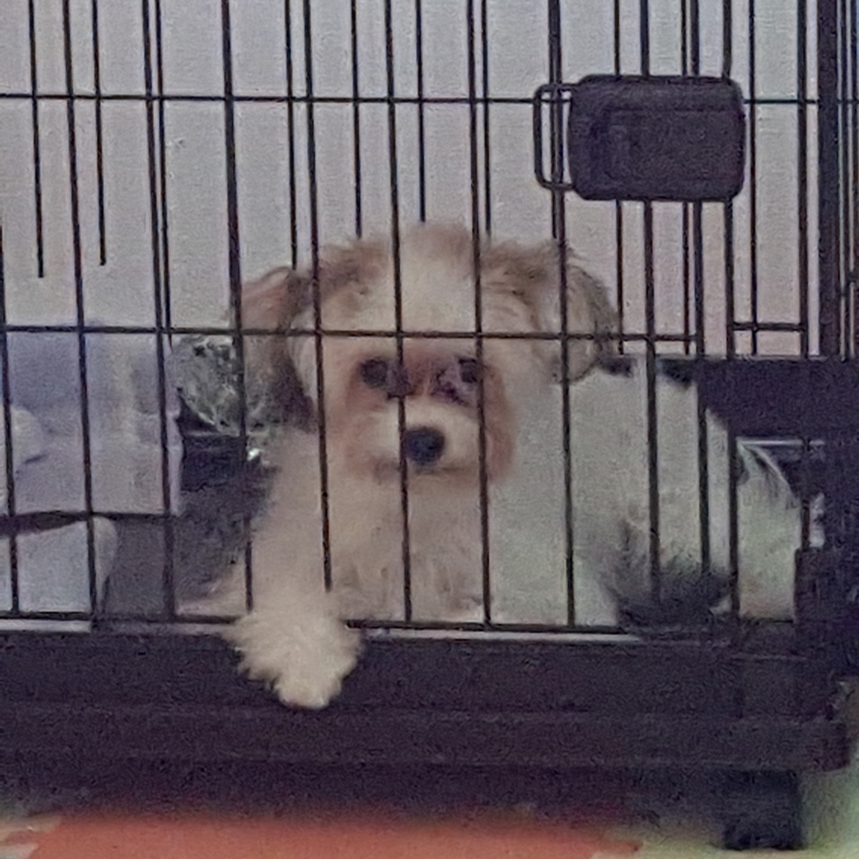 ティナのカバー写真