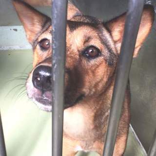 明日が期限です。人懐っこい綺麗な女の子