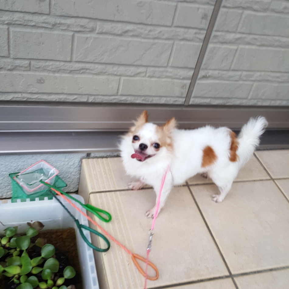 みらのカバー写真