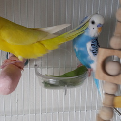 ちょいちょーい！