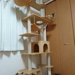 ムーンちゃん正式譲渡になりました