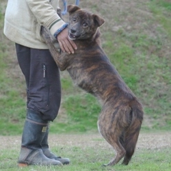 「マナ改めラピス ＆ リノ改めパール成長記」サムネイル2