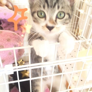 おっとり、ひーくん☆