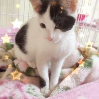 マイペースな、アリス☆