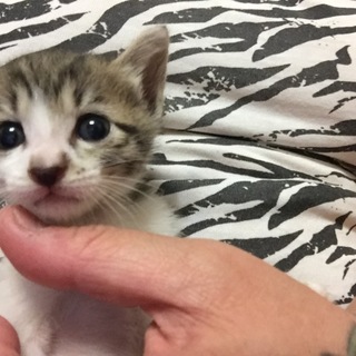 沢山のご応募ありがとうございました