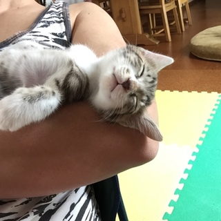 沢山のご応募ありがとうございました