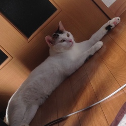 門番
