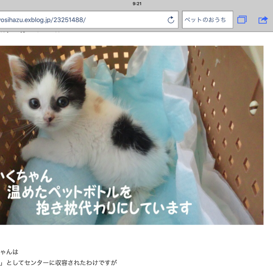小春のカバー写真