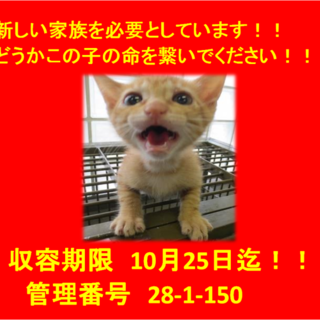 里親決定！！家族ができました(*´▽｀*)