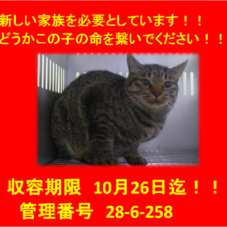 里親決定！！家族ができました(*´▽｀*)