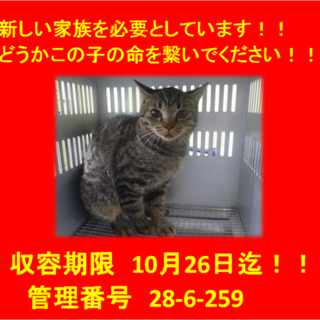 里親決定！！家族ができました(*´▽｀*)