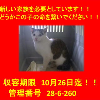 里親決定！！家族ができました(*´▽｀*)