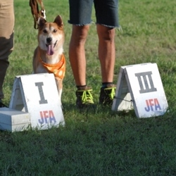 博士、2連勝！　大牟田大会でも優勝！