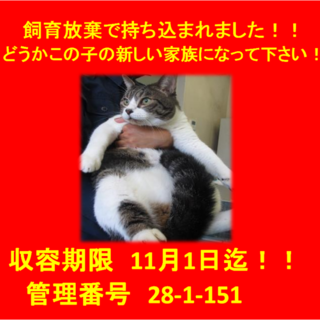 里親決定！！家族ができました(*´▽｀*)