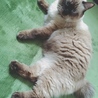の写真