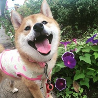 ここあ