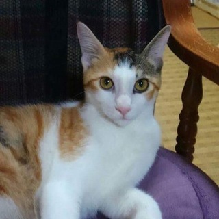 ありがとうございました