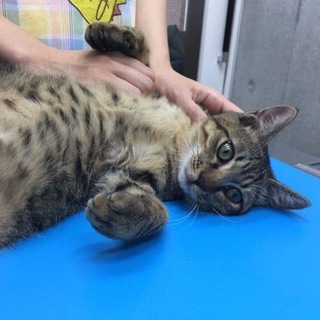 ありがとうございました