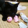 の写真