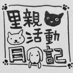 里親活動日記「里親に応募してみた」
