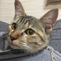 ★甘え上手な弥生ちゃんです☆