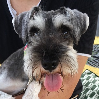 少しヤンチャで甘えたな男の子♪