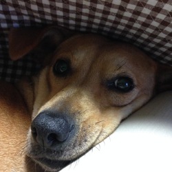 「セナ、回復。」サムネイル2