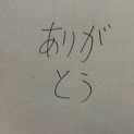 アメリカンショートヘア里親募集